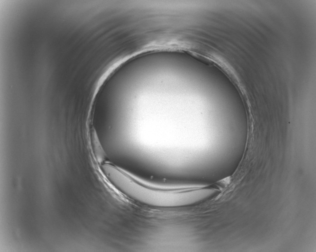 X0000056001344200509162308