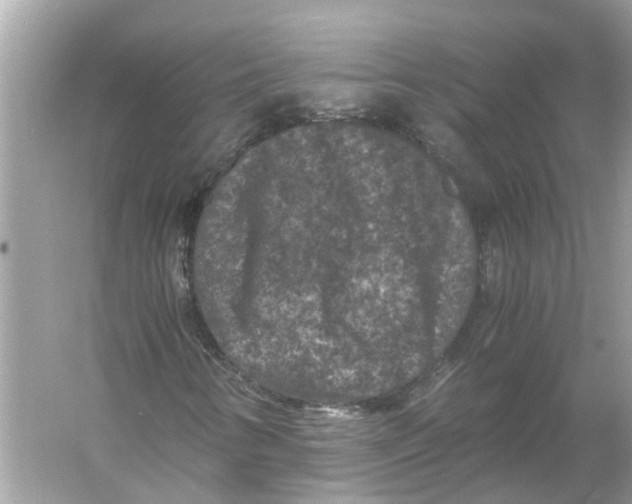 X0000056001346200509162307