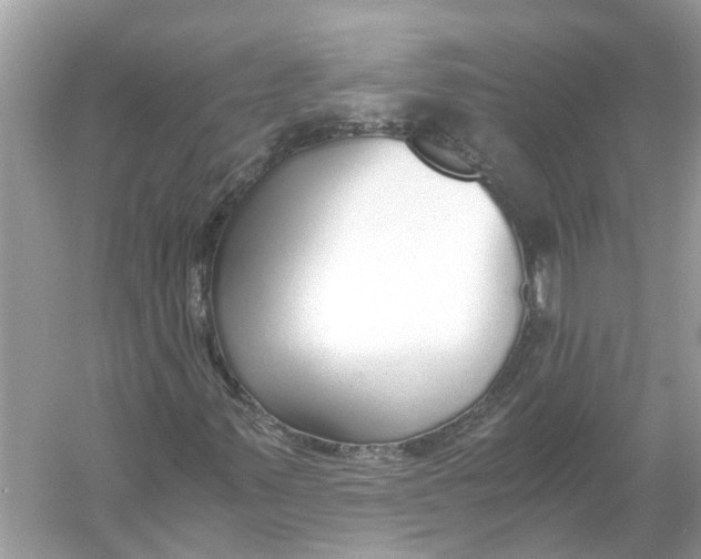 X0000056001347200509162307