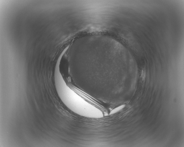 X0000056001348200509162307