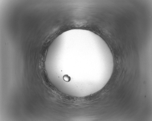 X0000056001349200509162307