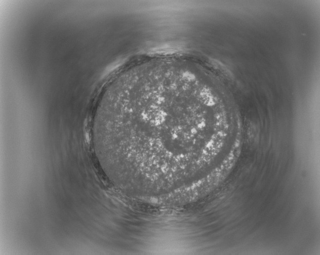 X0000056001350200509162307