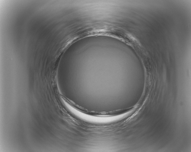 X0000056001353200509162307