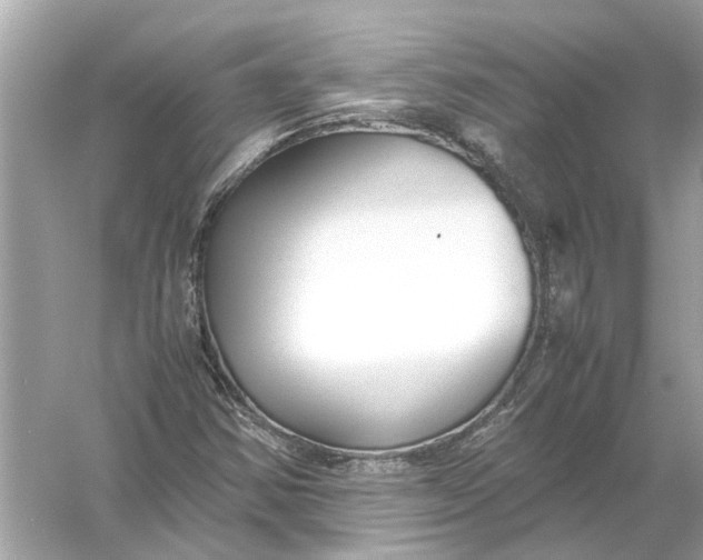 X0000056001354200509162307