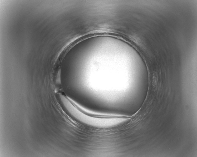 X0000056001356200509162307