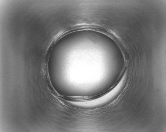 X0000056001357200509162307