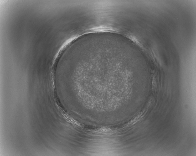 X0000056001358200509162307