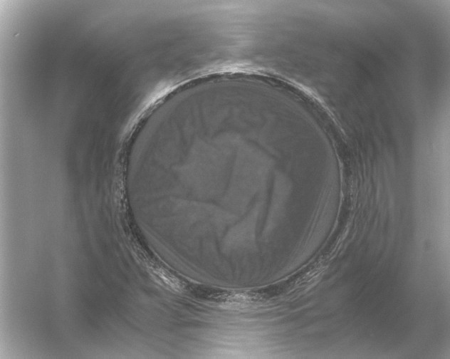 X0000056001359200509162307