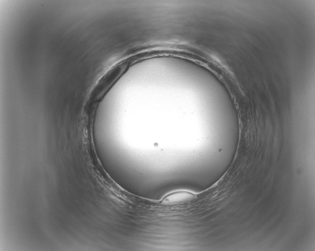 X0000056001360200509162307