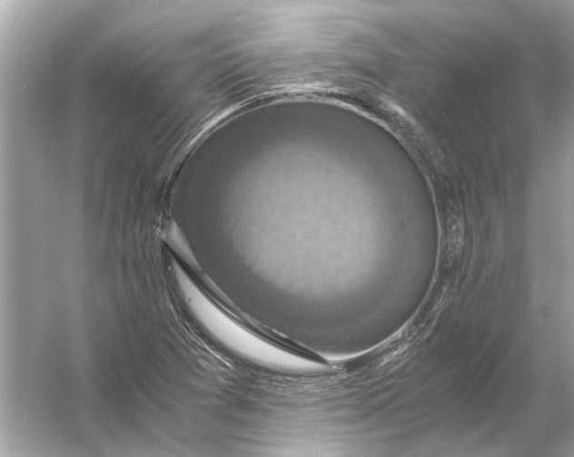 X0000056001361200509162307