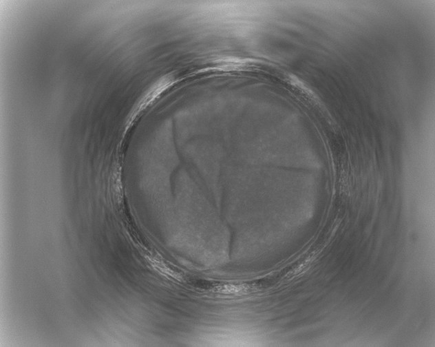 X0000056001362200509162307