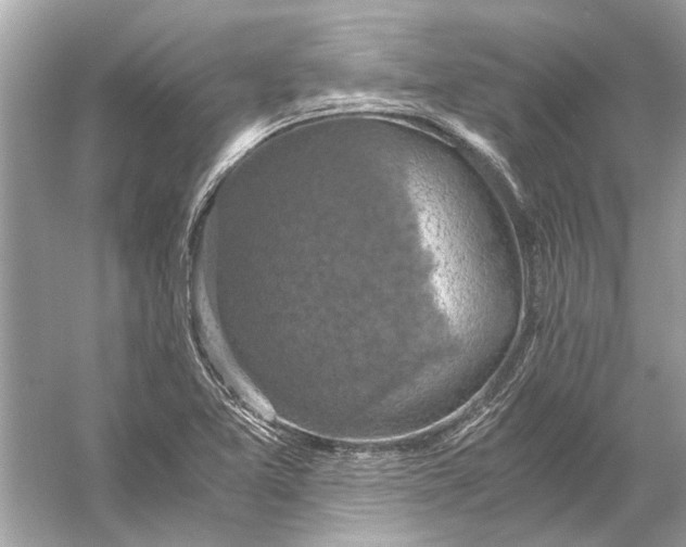 X0000056001365200509162307