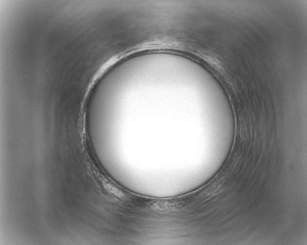 X0000056001366200509162307