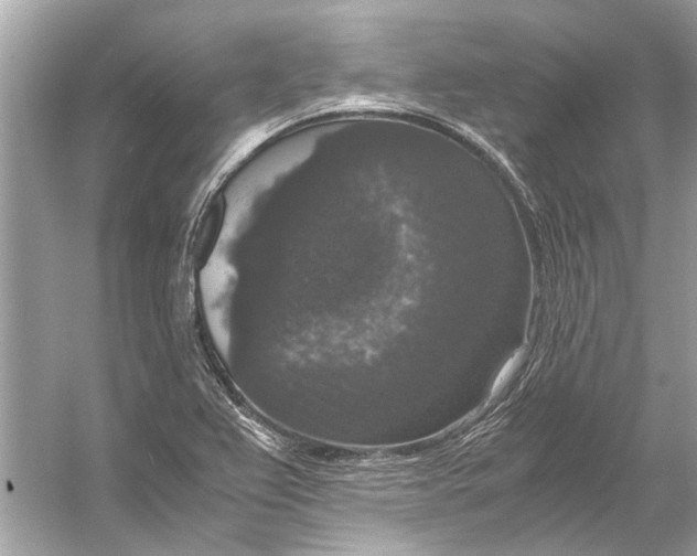 X0000056001367200509162306