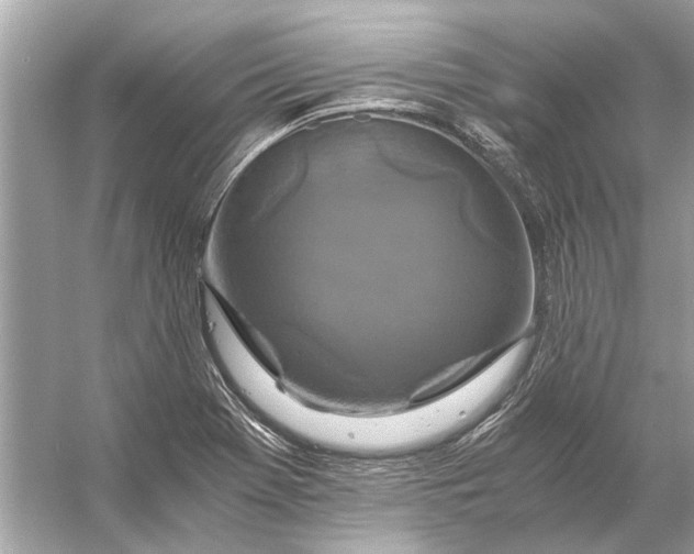 X0000056001369200509162306