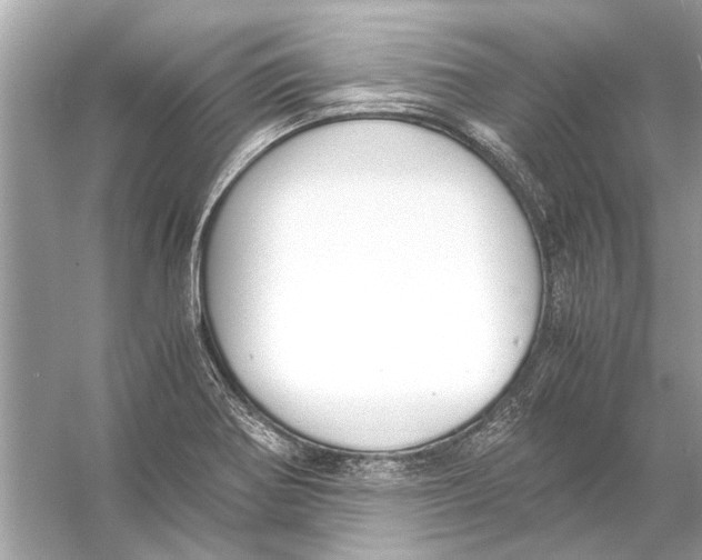 X0000056001370200509162306