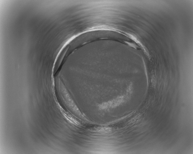 X0000056001372200509162306