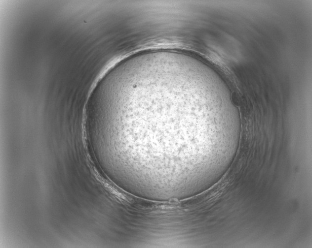 X0000056001374200509162306