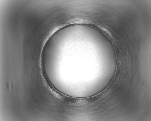 X0000056001375200509162306