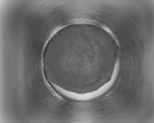 X0000056001376200509162306