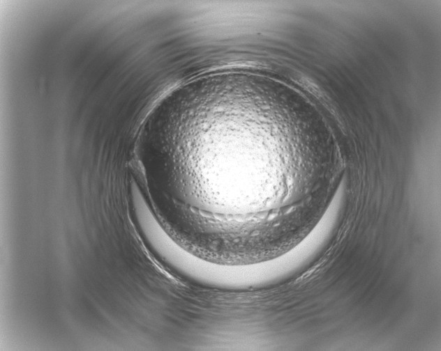 X0000056001377200509162306