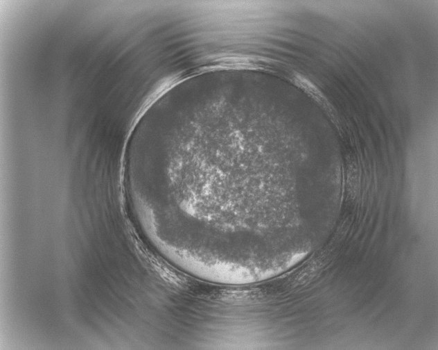 X0000056001378200509162306