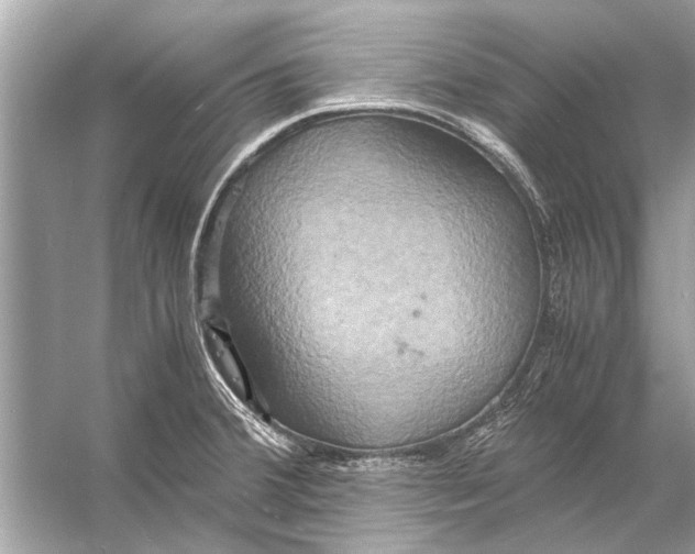 X0000056001380200509162306