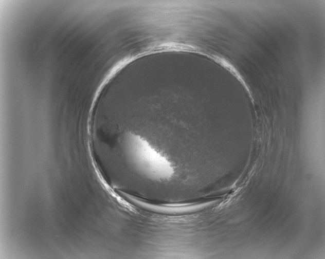 X0000056001381200509162306