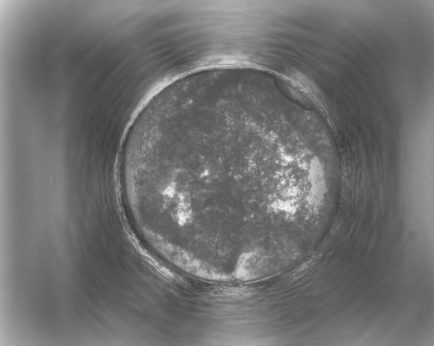 X0000056001382200509162306