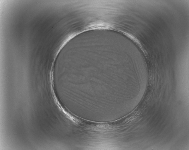 X0000056001383200509162306