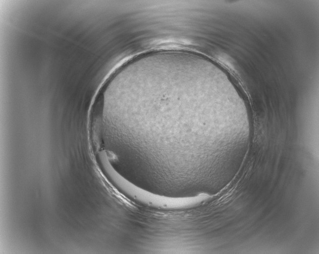 X0000056001384200509162306