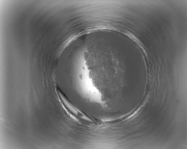 X0000056001385200509162306