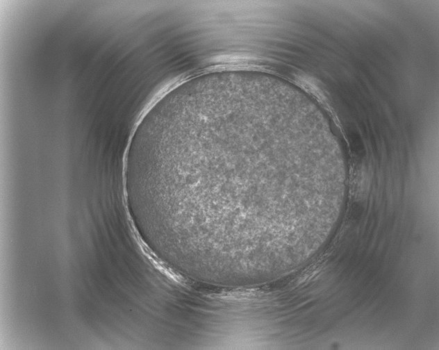 X0000056001386200509162306