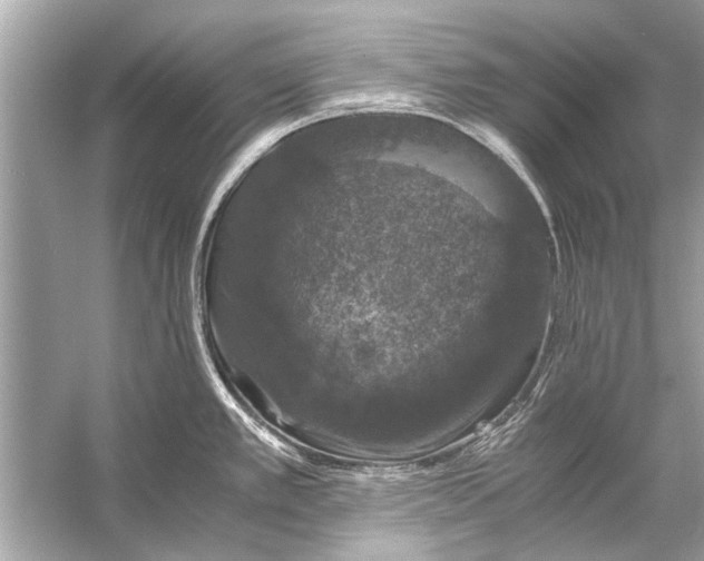 X0000056001389200509162306