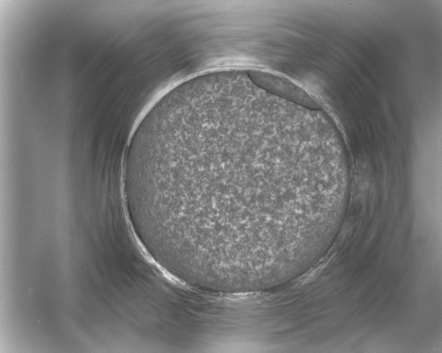 X0000056001390200509162306