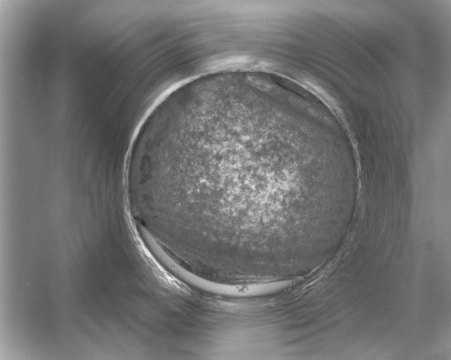 X0000056001392200509162306