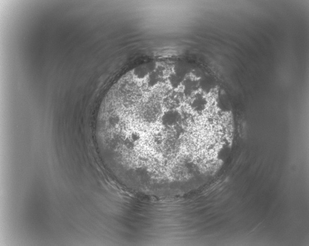 X0000056001393200509162305