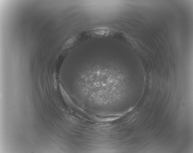 X0000056001394200509162305