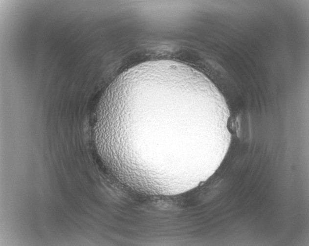 X0000056001395200509162305