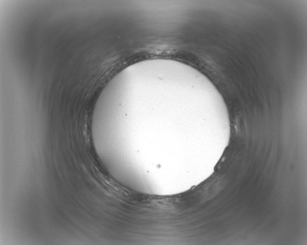 X0000056001396200509162305