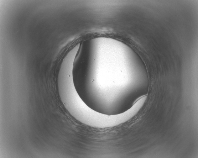 X0000056001398200509162305