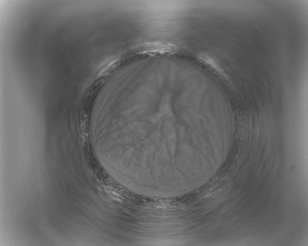 X0000056001399200509162305