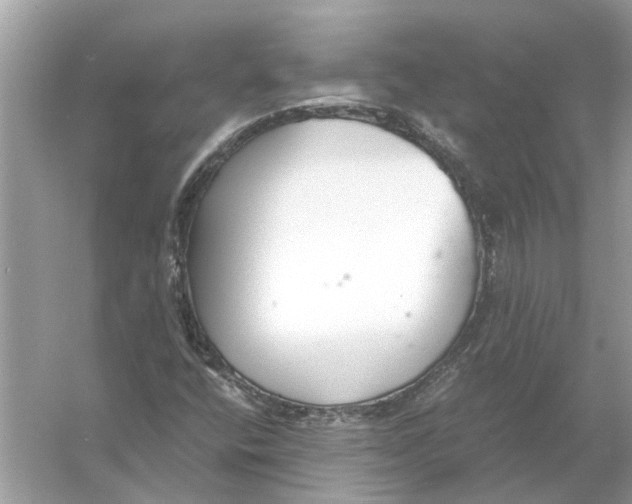 X0000056001400200509162305