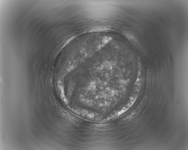 X0000056001401200509162305