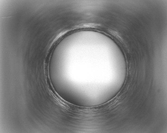 X0000056001404200509162305