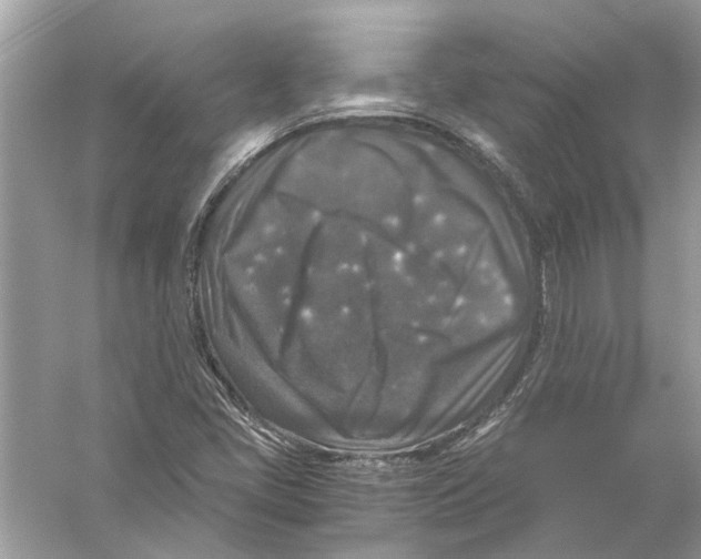 X0000056001405200509162305