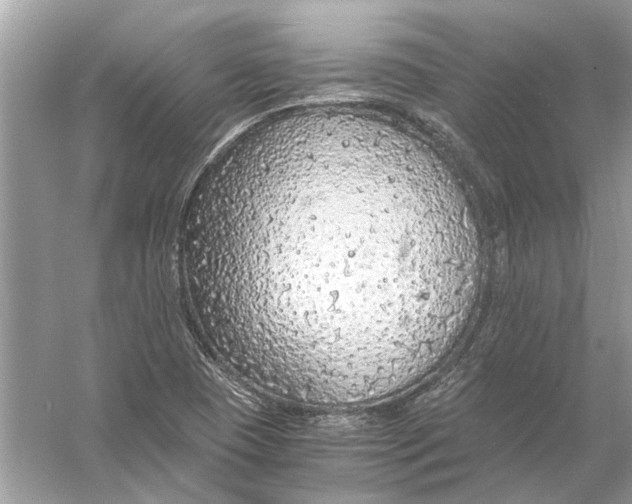 X0000056001409200509162306