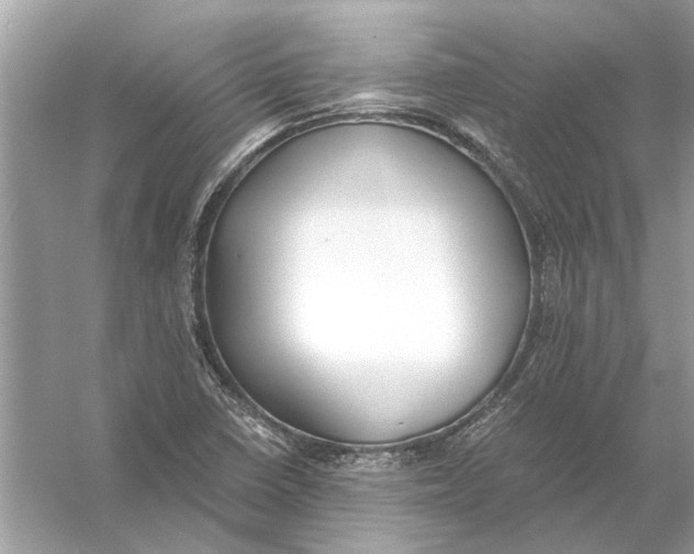 X0000056001410200509162306