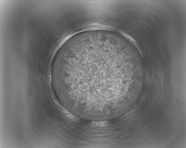 X0000056001415200509162306