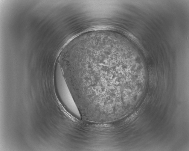 X0000056001417200509162306